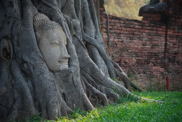 La tête faisait autrefois partie d'une image de Bouddha en grès qui tombe du corps principal sur le sol