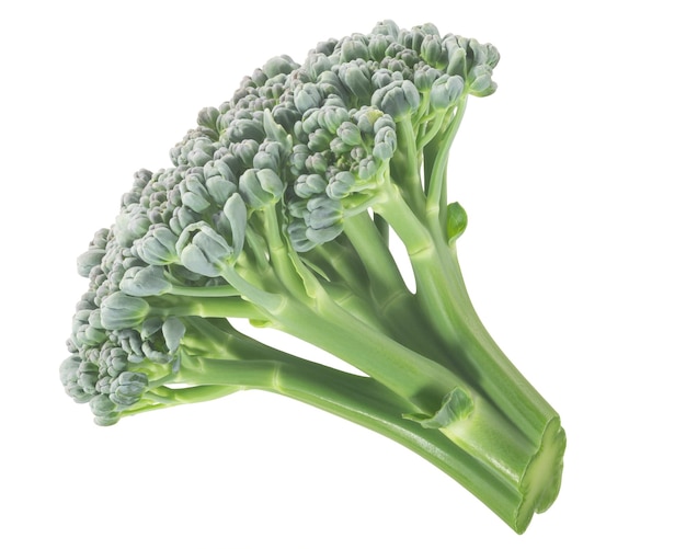 Tête de fleur de brocoli Brassica oleracea var italica isolé w chemins de détourage