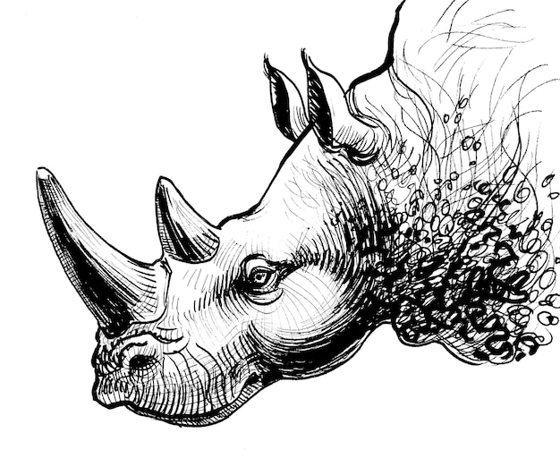 Tête de rhinocéros. Dessin noir et blanc à l'encre