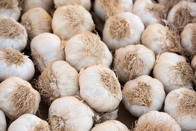 Têtes d'ail au marché