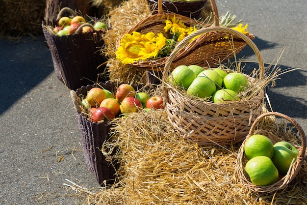 Têtes de céréales, pommes et tournesols. Récolte sur la botte de foin