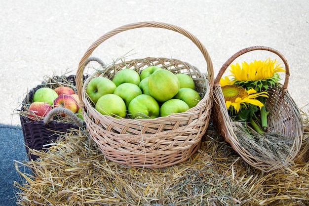 Têtes de céréales, pommes et tournesols. Récolte sur la botte de foin