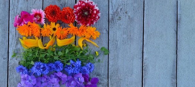 Têtes de fleurs disposées selon les couleurs de l'arc-en-ciel Espace réservé au texte