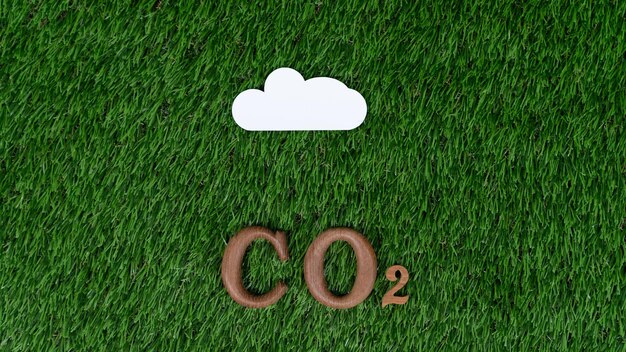 Texte alphabétique en bois arrangé en CO2 sur fond biophile Gyre