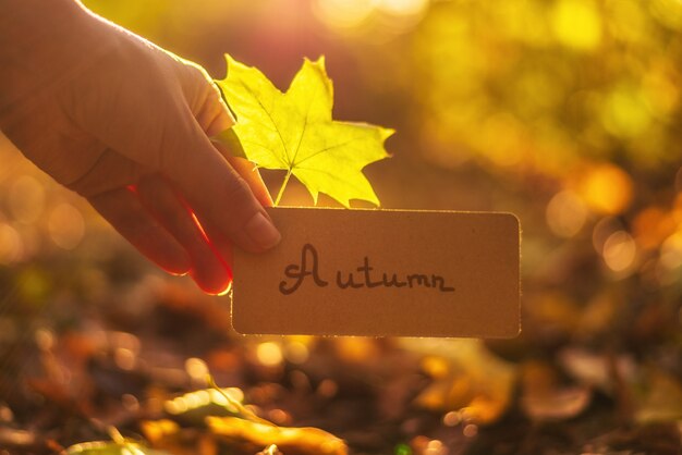 Texte d'automne sur une carte. Fille tenant la carte dans le parc automne.