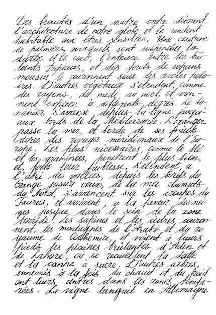 Texte écrit à La Main Vectoriel écriture Cursive Imitation Du Texte  Manuscrit Mots Illisibles. Dédormant Illustration de Vecteur - Illustration  du isolement, écriture: 248842613