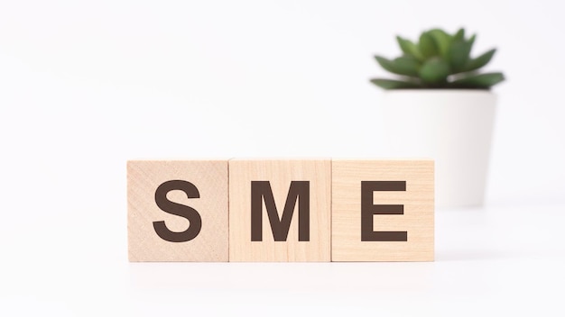 Texte PME sur cubes en bois fond blanc concept d'entreprise