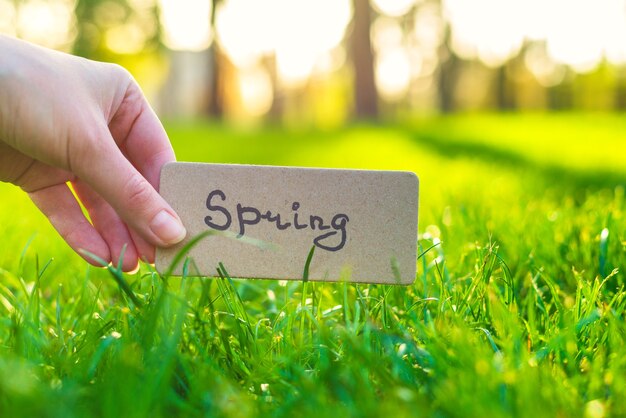 Photo texte de printemps sur une carte. fille tenant la carte dans un rayon dans le parc du printemps.