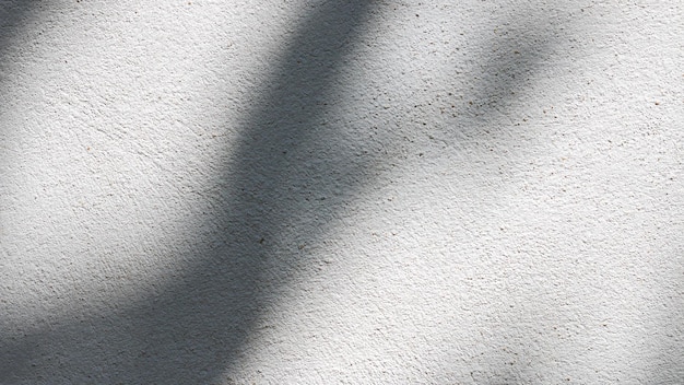 Textuer de fond abstrait noir et blanc de feuille d&#39;ombres sur un mur de béton