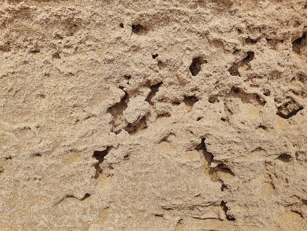 Textura de roca piedra caliza