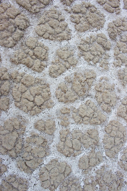 Textura y relief del fondo de lago salado al secarse creando formas poligonales.