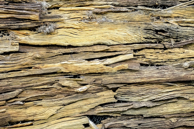 Texture abstraite de bois