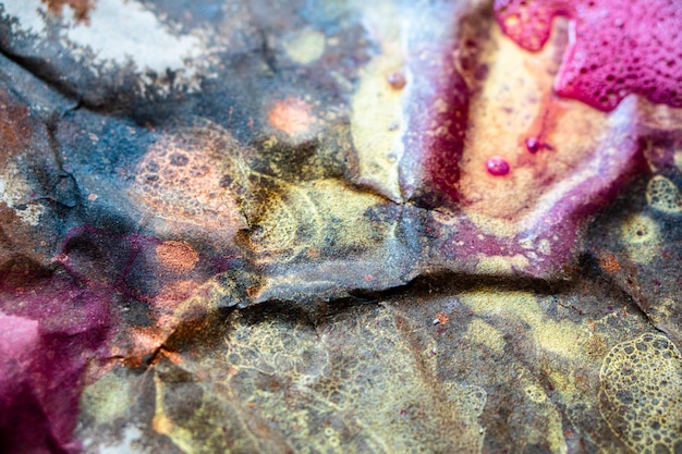 Texture abstraite de la vraie peinture colorée humide