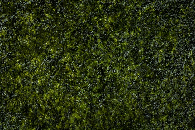 Photo texture d'algues avec collation frite.