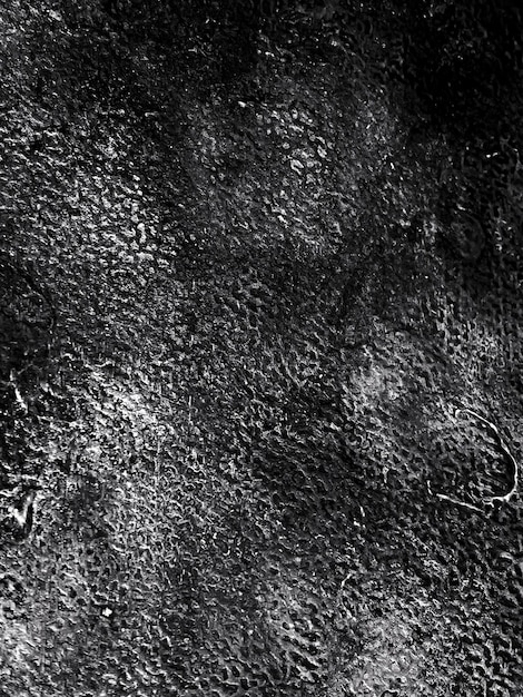 Texture d'arrière-plan grunge pour votre conception Noir et blanc