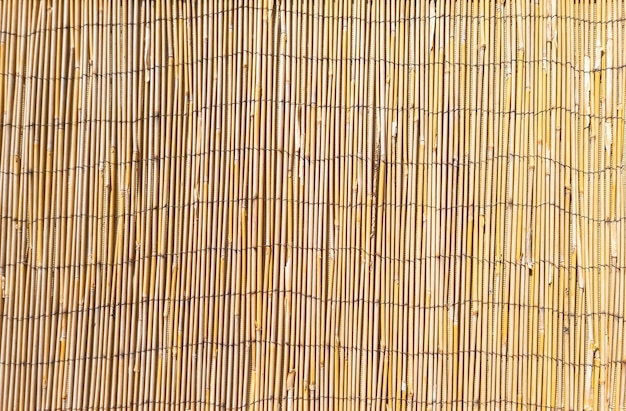 Texture d'arrière-plan de paille verticale jaune sec en bambou Nature matériel végétal Espace de copie vide