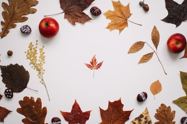 Texture d'automne d'automne avec des feuilles sur la vue de dessus de fond blanc