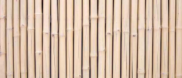 Texture de bambou jaune Fond de mur ou de clôture en bambou séché