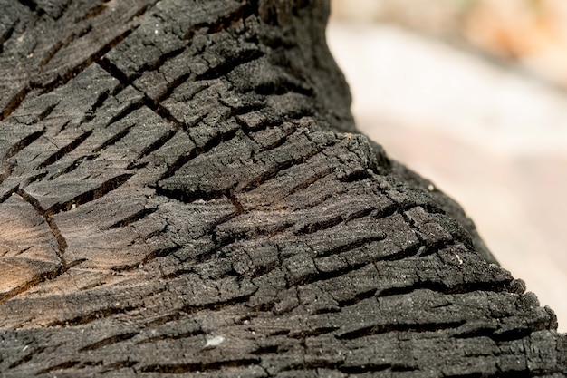 Texture de bois brûlé