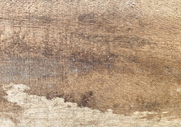 Photo une texture de bois brun avec une tache blanche.