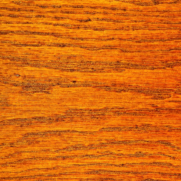 Texture en bois finie avec du vernis