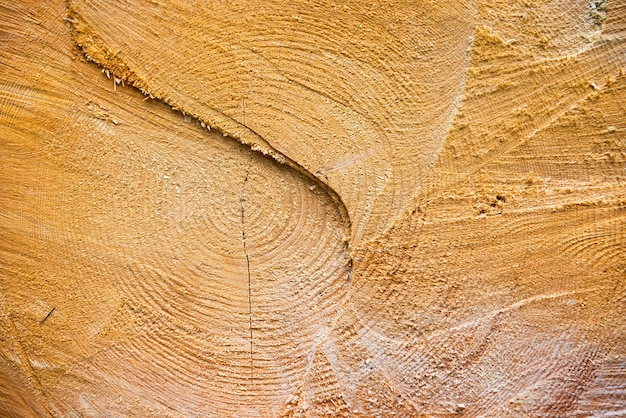 La texture en bois fissurée jaune clair peut être utilisée pour le fond