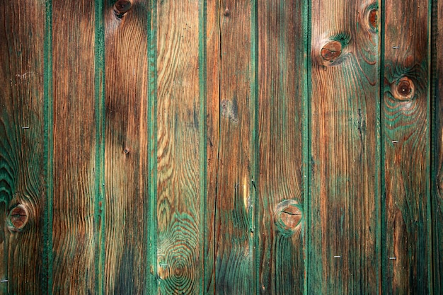 Texture bois avec fond naturel de couleur verte