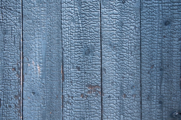 Texture bois avec des motifs naturels ton bleu