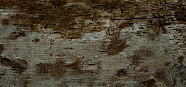 texture en bois texturée vintage