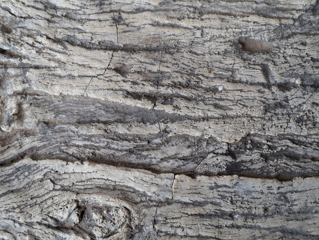 Texture en bois