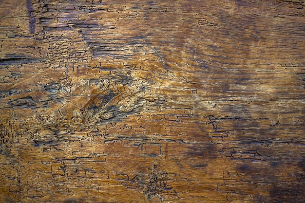 Texture en bois