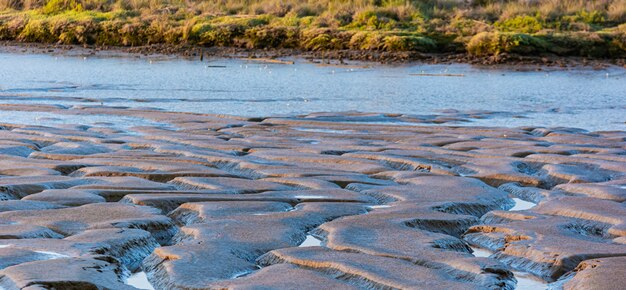 Texture de boue, rivière avec canaux