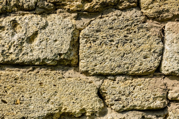 Texture des briques de calcaire de roche de coquille pour le modèle naturel de fond