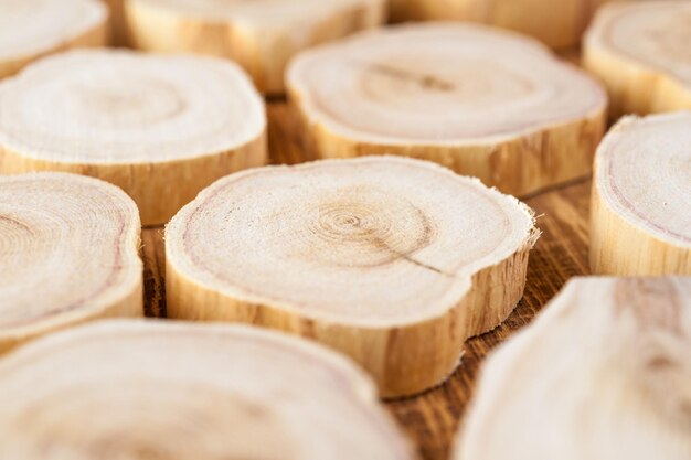 Texture des bûches de bois de section transversale. Motif de fond de souche d'arbre de genévrier. Coupe transversale de tranche de bois de genévrier de cercles avec des anneaux d'arbre qui montrent l'histoire organique de l'âge.