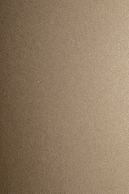 Texture de carton kraft. Copiez l'espace.