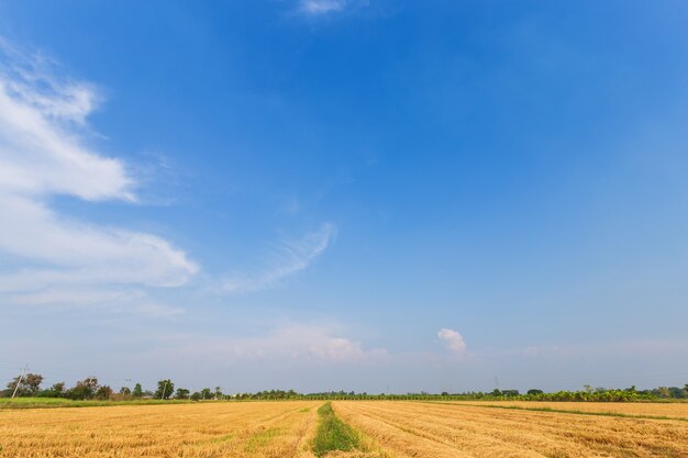 Texture de ciel bleu avec des nuages blancs.