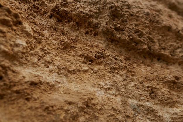 Texture de coquille de roche et gros plan de la terre