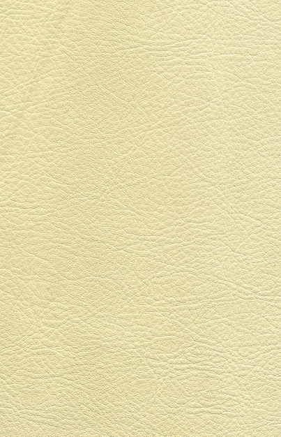 Texture de cuir beige 02