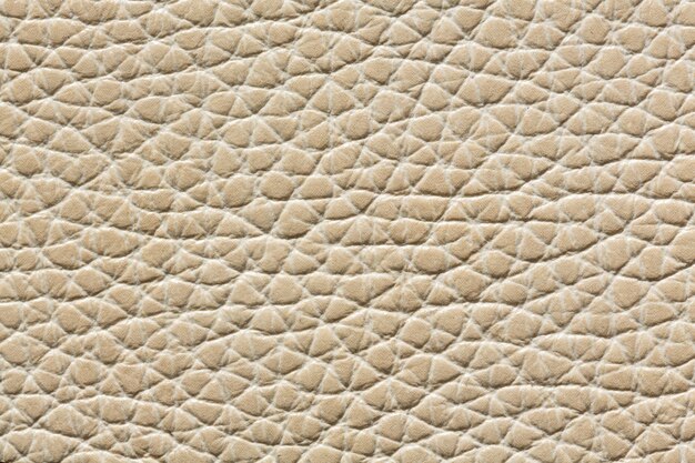 Texture cuir légère avec surface en relief