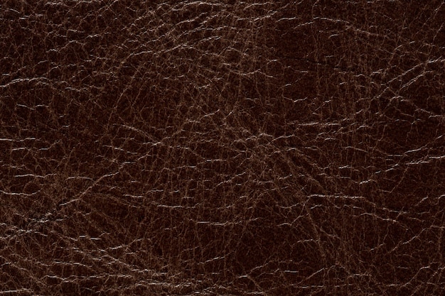 Texture de cuir spectaculaire dans un ton marron contrasté