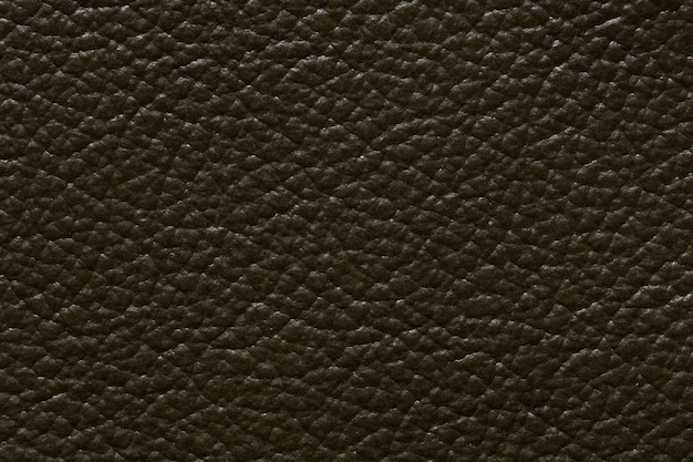 Texture de cuir spectaculaire dans des tons sombres