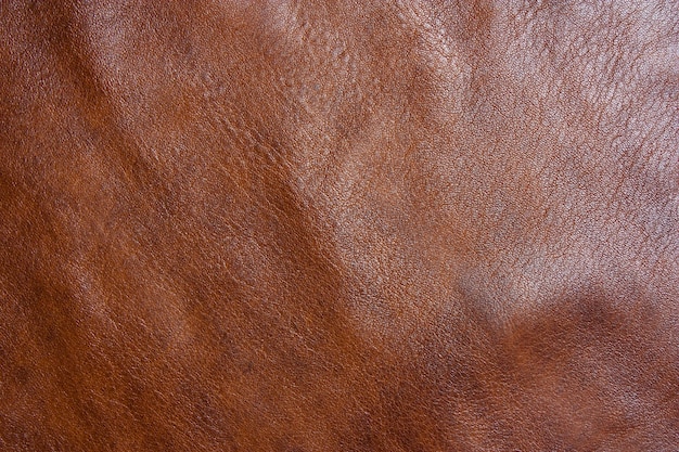 Texture de cuir véritable