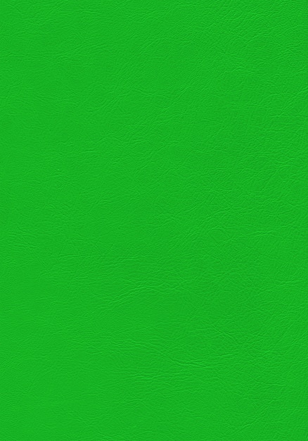 Texture cuir vert