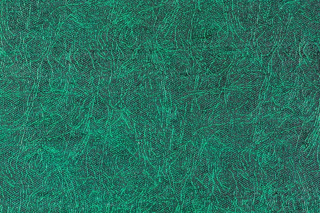 Texture de cuir vert