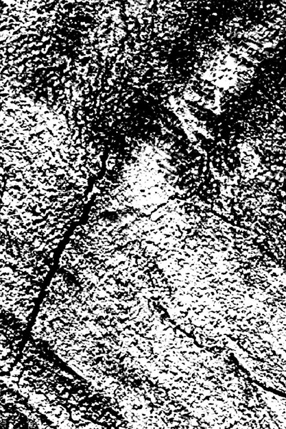 Texture de demi-ton noir et blanc abstraite