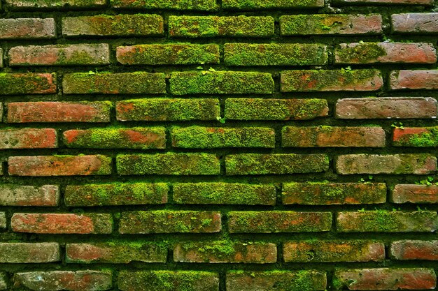 texture de la disposition des briques rouges pour les murs de la maison