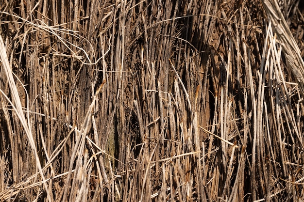 La texture du bois ancien se bouchent