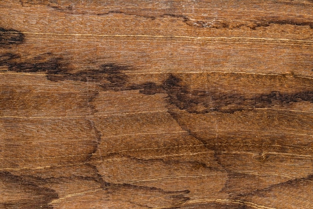 texture du bois d&#39;arbre