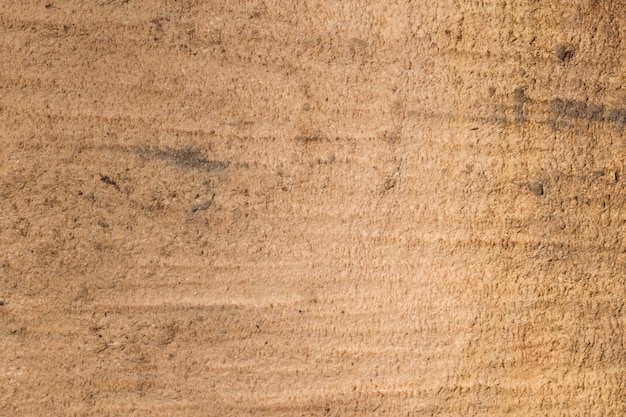 texture du bois d&#39;arbre