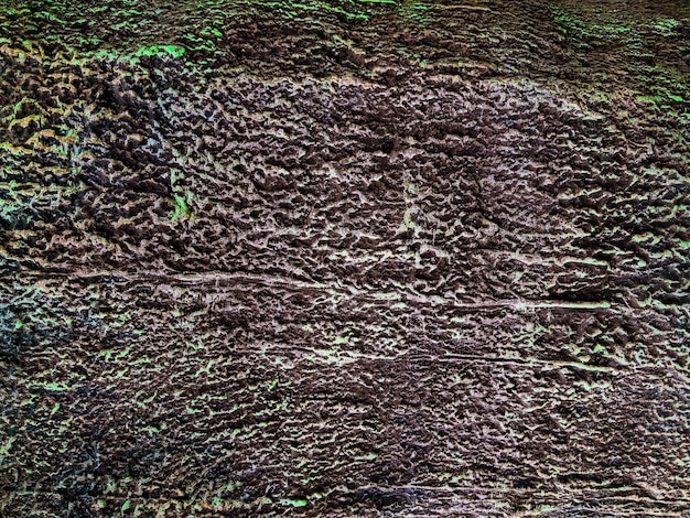 Texture du bois du relief en ciment Texture grunge abstraite de l'écorce granuleuse